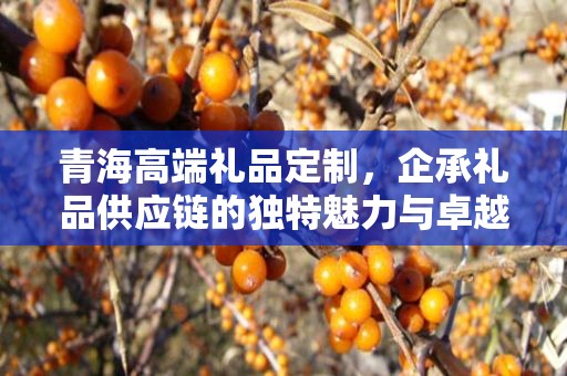 青海高端礼品定制，企承礼品供应链的独特魅力与卓越服务